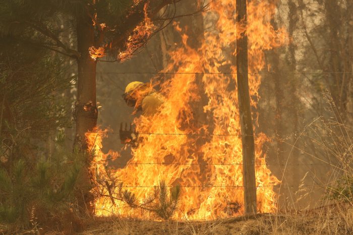 Balance de incendios forestales: se registran 51 en combate y 139 controlados