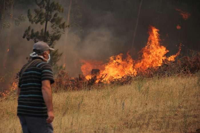 Incendios forestales: ¿Cómo identificar una intoxicación por inhalación de humo y qué hacer?