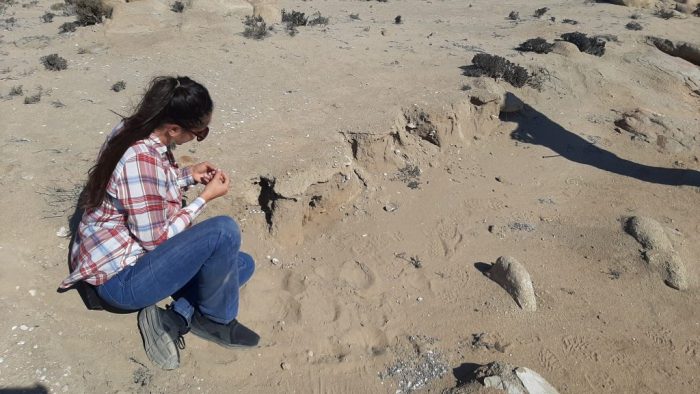 Arqueóloga Carola Flores: “Los sitios arqueológicos costeros guardan secretos sobre el ambiente, el clima y las experiencias humanas en el pasado”