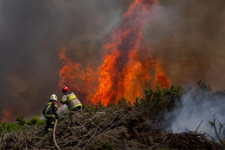 Gabriel Boric anuncia Ley de Incendios Forestales y Rurales para prevenir y extinguir siniestros