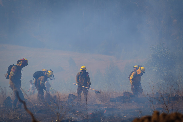 La Araucanía: coordinan apoyo a prestadores turísticos afectados por incendios forestales