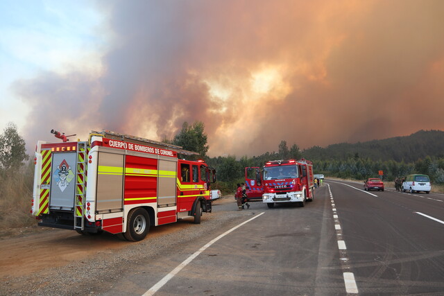 Por amenaza de incendios forestales, Senapred activa alerta de evacuación en tres localidades del Biobío y La Araucanía