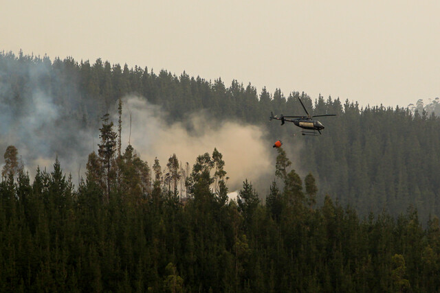 UE activó servicio de emergencias, ante incendios forestales en Chile: ayudará con mapas satelitales 