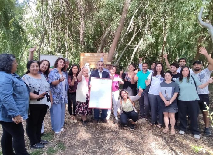 Declaran Humedal Urbano al Estero Purén Idahue de Coltauco con el fin de promover su conservación