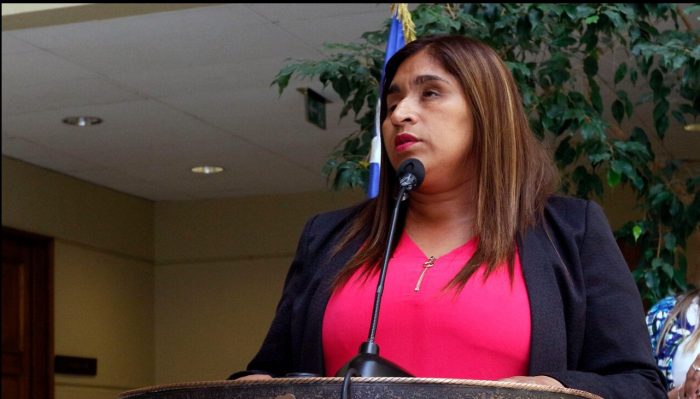 Senadora Fabiola Campillai anuncia acciones legales contra diputada Cordero tras dichos en su contra: “Para mí no es una opción, es una realidad”