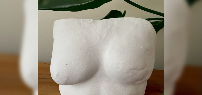“Cuerpos libres”: lanzan exposición de esculturas de vulvas y pechos que buscan normalizar la diversidad corporal