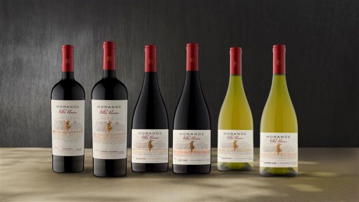 Nueva línea de vinos pone énfasis en el terruño y rescata técnicas no convencionales