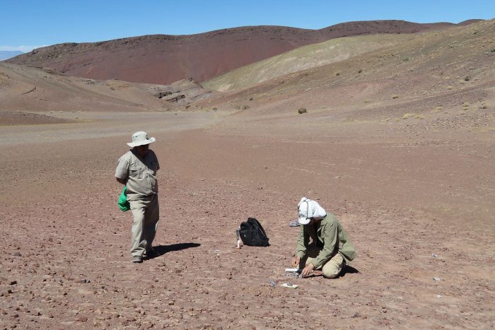 Descubren heces de hace 240 millones de años en el desierto de Atacama
