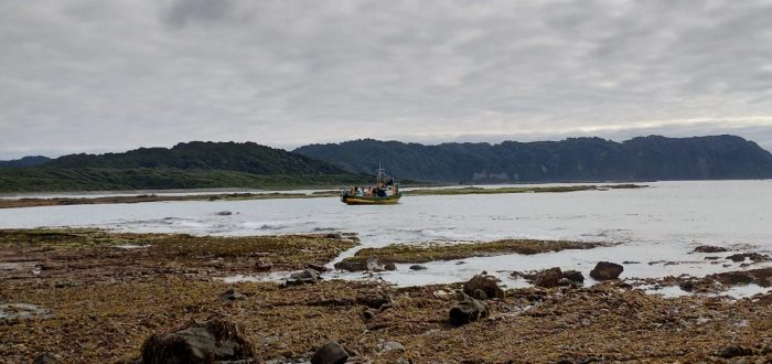 Mapuches y ambientalistas piden espacio protegido en Chiloé