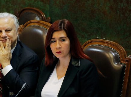 Catalina Pérez: “Las leyes efectistas no desvían balas”
