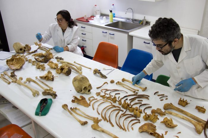 Investigación revela asesinato de mujer en la prehistoria en desierto de Atacama
