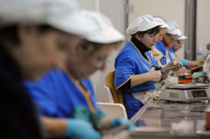 Informe proyecta estabilización de la participación laboral de mujeres en La Araucanía a tres años de la pandemia