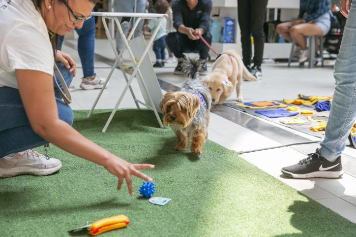 Expo Guau llega para cuidar, adoptar o entretener a las mascotas