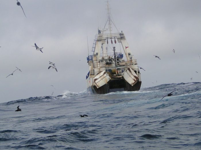 Recursos pesqueros en crisis: Informe de Subpesca revela que 29% de las pesquerías están sobreexplotadas y 28% agotadas