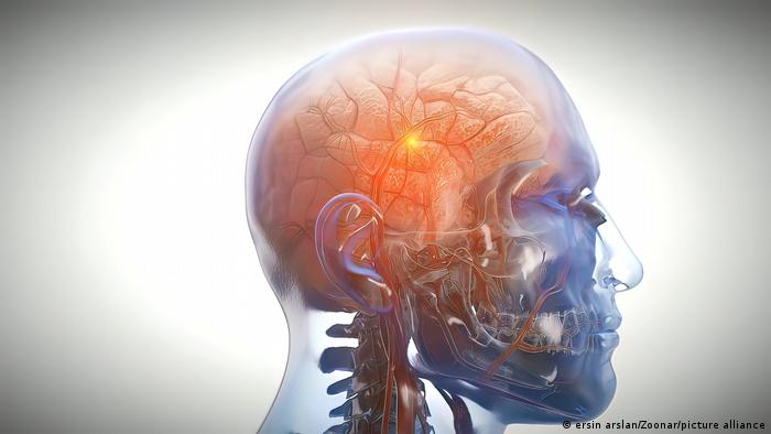 Desarrollan nueva interfaz cerebral capaz de convertir la imaginación en texto