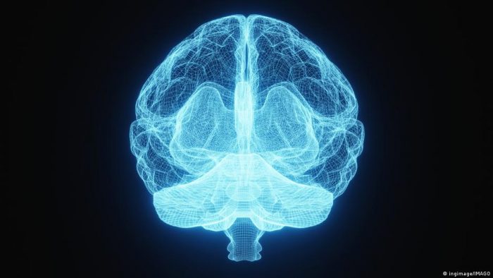 Cómo explica la ciencia el déjà vu y cuándo debe preocupar