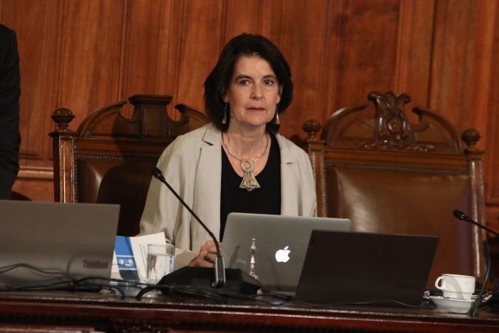 Presidenta de la Comisión Experta afirma que anteproyecto incluye “normas sobre derechos sociales”