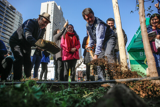 Plantarán 30 mil árboles nativos en la capital: 3 mil estarán en eje Alameda-Providencia