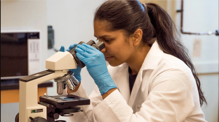 Proyecto de ley busca la paridad de género en la adjudicación de becas de investigación científica