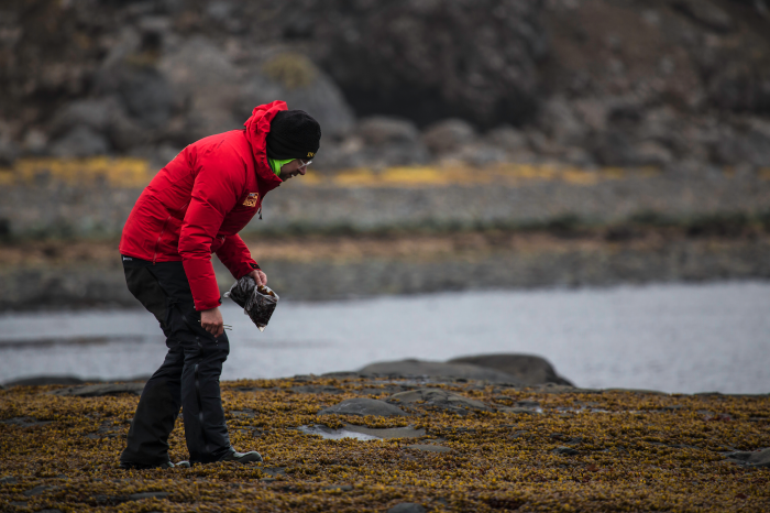 Científicos estudian parásitos desconocidos de la Antártica