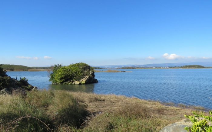 Aprueban creación del Santuario de la Naturaleza Humedal Desembocadura Río Biobío