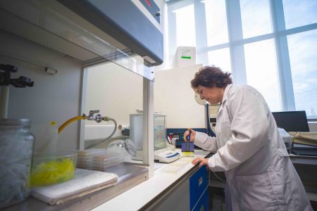 Plantas del altiplano chileno podrían tener efectos positivos en el tratamiento del Alzheimer