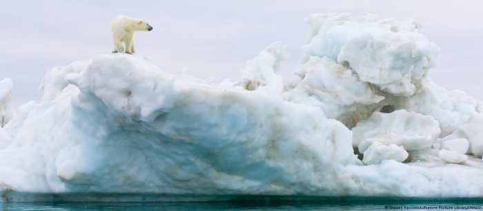 Ártico perdería todo su hielo marino de verano en 10 años