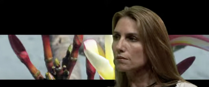 Paula Carrasco presenta su libro “Algo temporal”