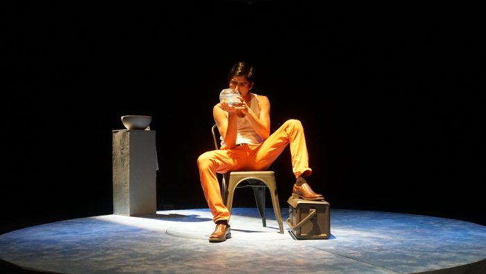 Obra “Terrario” en Teatro Camilo Henríquez