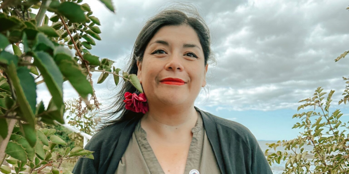Encuentran a consejera constitucional Nancy Márquez: estaba desaparecida en Santiago