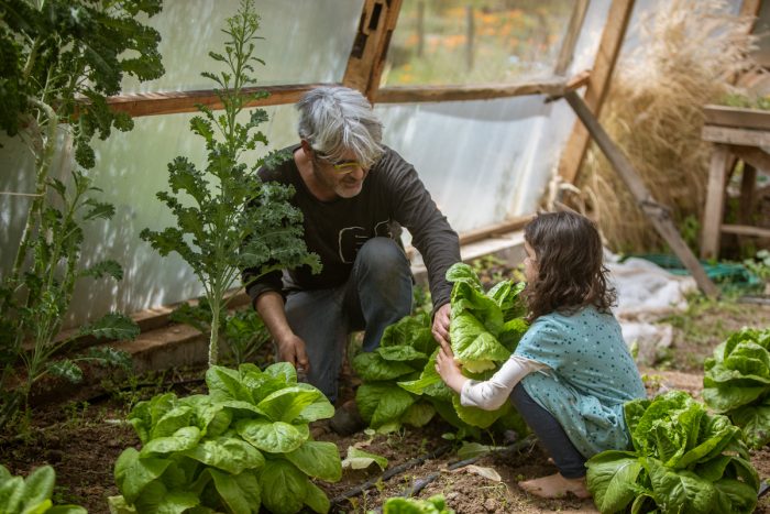 Hasta $30 millones para iniciativas socioambientales comunitarias