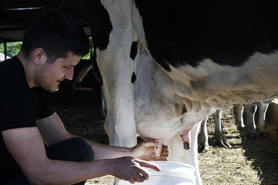 What is the meaning of Soy la leche Eres la leche Él/Ella es la