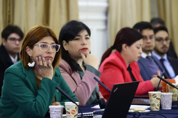 Iniciativas populares de norma fueron admitidas para ser publicadas y sujetas a votación