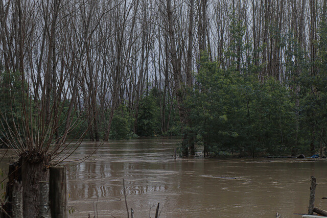 Senapred decreta alerta roja para la comuna de Concepción por desborde de río