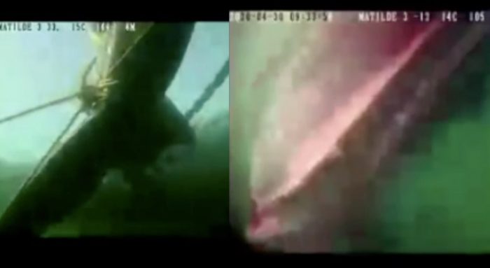 Revelan imágenes de la muerte de una ballena en peligro de extinción en jaula salmonera en Aysén