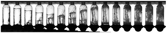 El fascinante vínculo entre la física y el desafío viral de la botella de agua