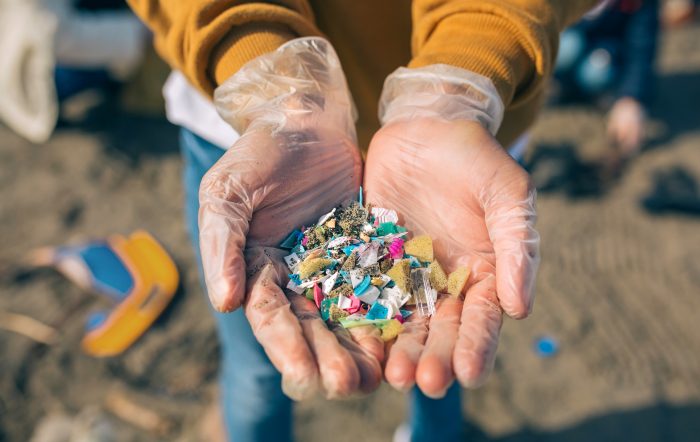 Estudio revela que microplásticos se acumulan en la Bahía de Valparaíso desde hace 80 años