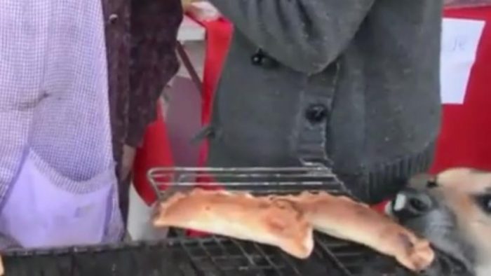 Muere “Orejón”, el perro ladrón de empanadas: notero que lo adoptó lo confirmó en redes sociales