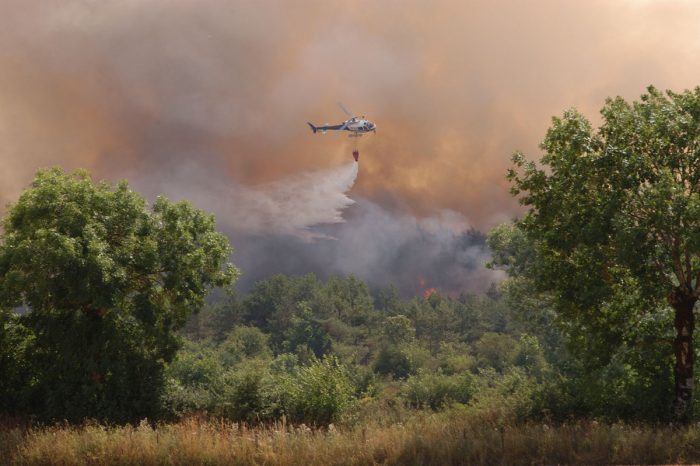 Chile requiere una política nacional de prevención de incendios forestales