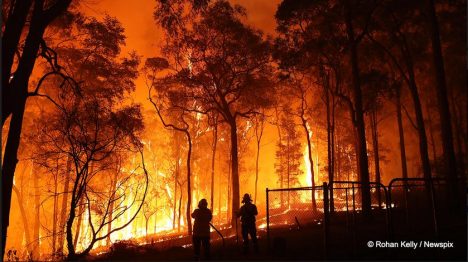 Incendios forestales: educación y acción para proteger nuestros bosques y fauna