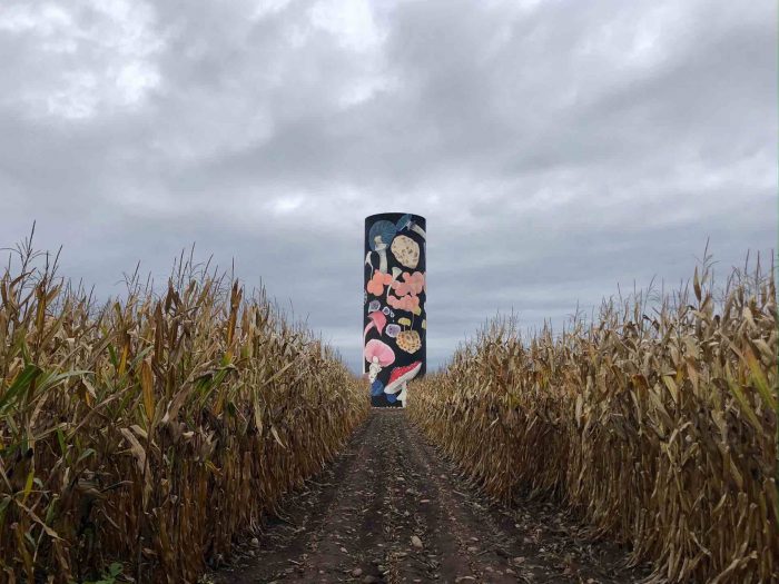 Transforman silos abandonados en zonas rurales en obras de arte