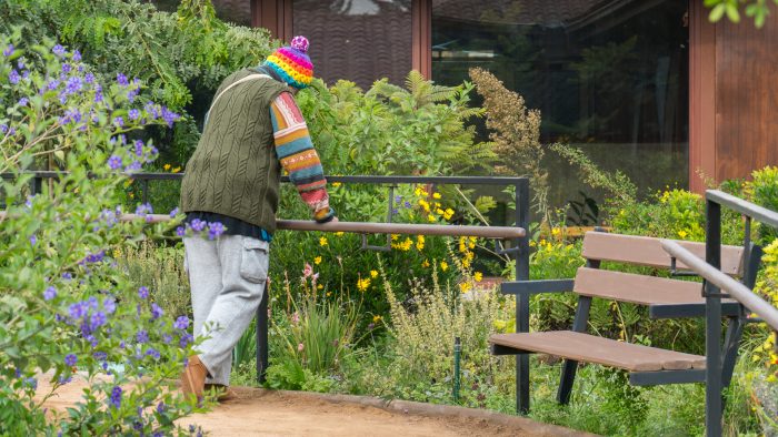 Inédito estudio buscará determinar el impacto social de los Jardines Sanadores en recintos de salud