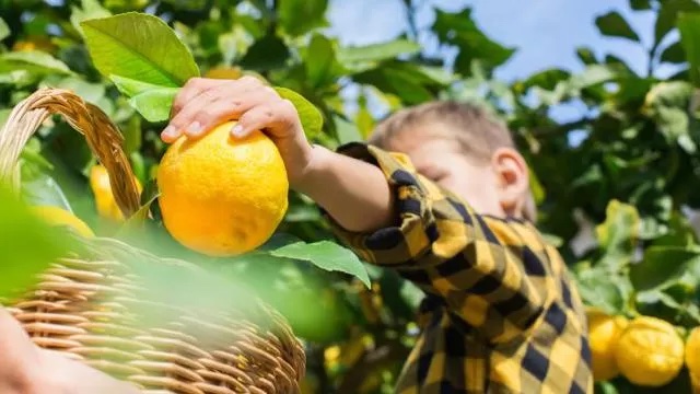 Los otros secretos (aparte de la comida) de la dieta mediterránea, la más recomendada para la salud