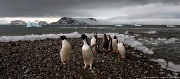 Científicos, conmocionados por eventos extremos en Antártida