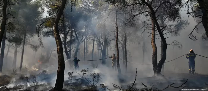 Incendios forestales: cuando los bosques calientan la Tierra