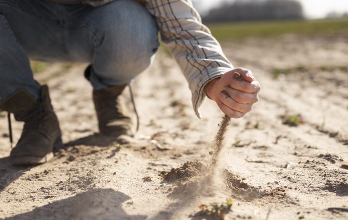 Agricultores podrán conocer en octubre los niveles de sequía del verano gracias a innovación