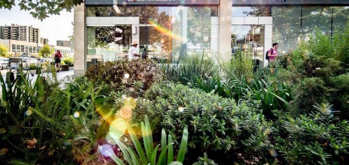 Banco gana en Chile el Premio Finanzas Sostenibles 2023