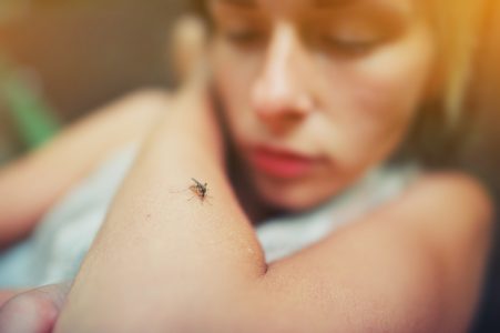 Día internacional contra el Dengue: el mosquito que tiene a siete regiones del país en alerta
