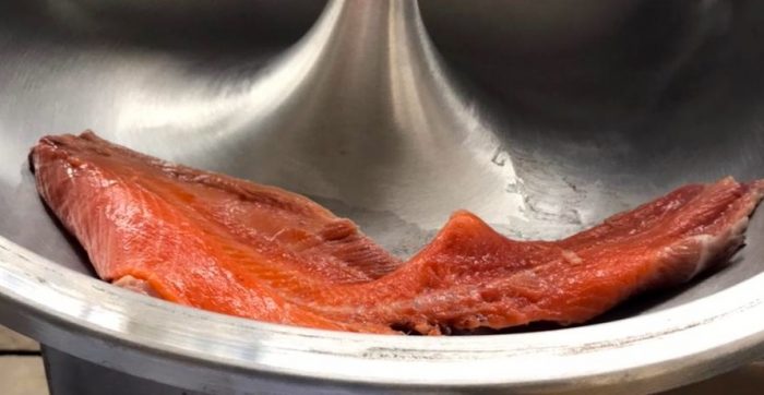 Investigador chileno trabaja en obtener más proteínas de subproductos de salmones