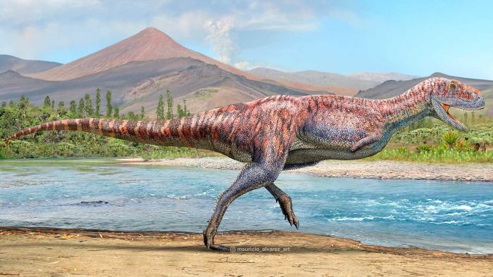 Identifican a dinosaurio de brazos muy cortos que vivió hace más de 92 millones de años en Coquimbo